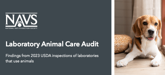 Lab Animal Care Audit callout